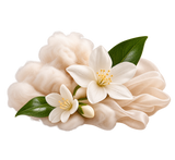 Skin Musk