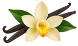 Vanilla